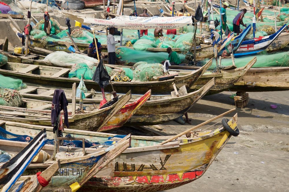 fishing boats