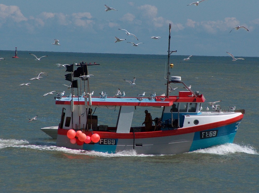 fishing boats