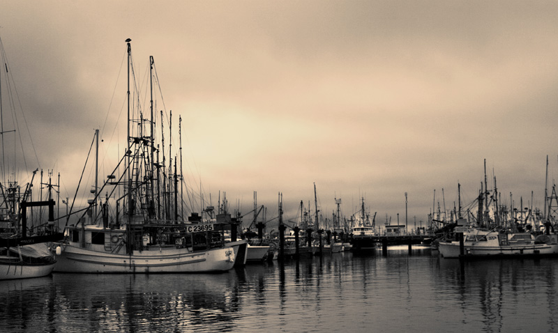 Fishing Boats