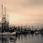 Fishing Boats