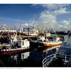 Fishing Boats in Reykjavik Harbor