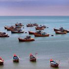 Fishing boats in the Cam Ranh Bay