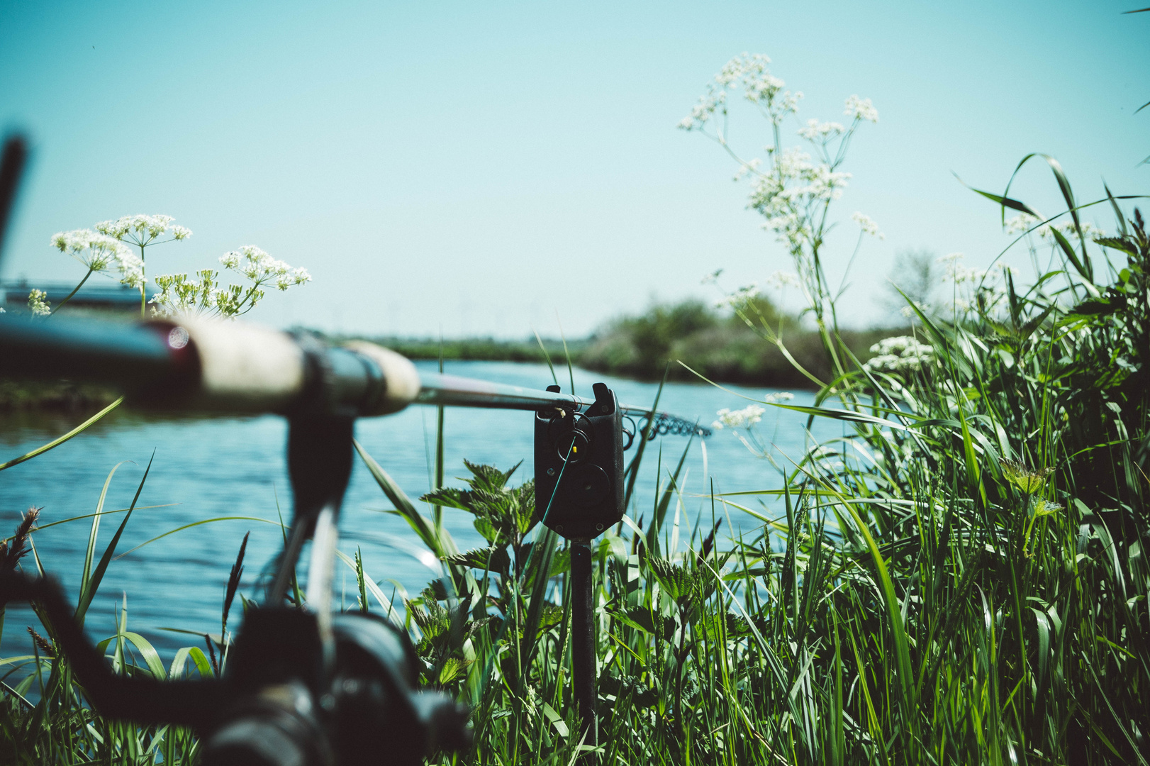 Fishing Day