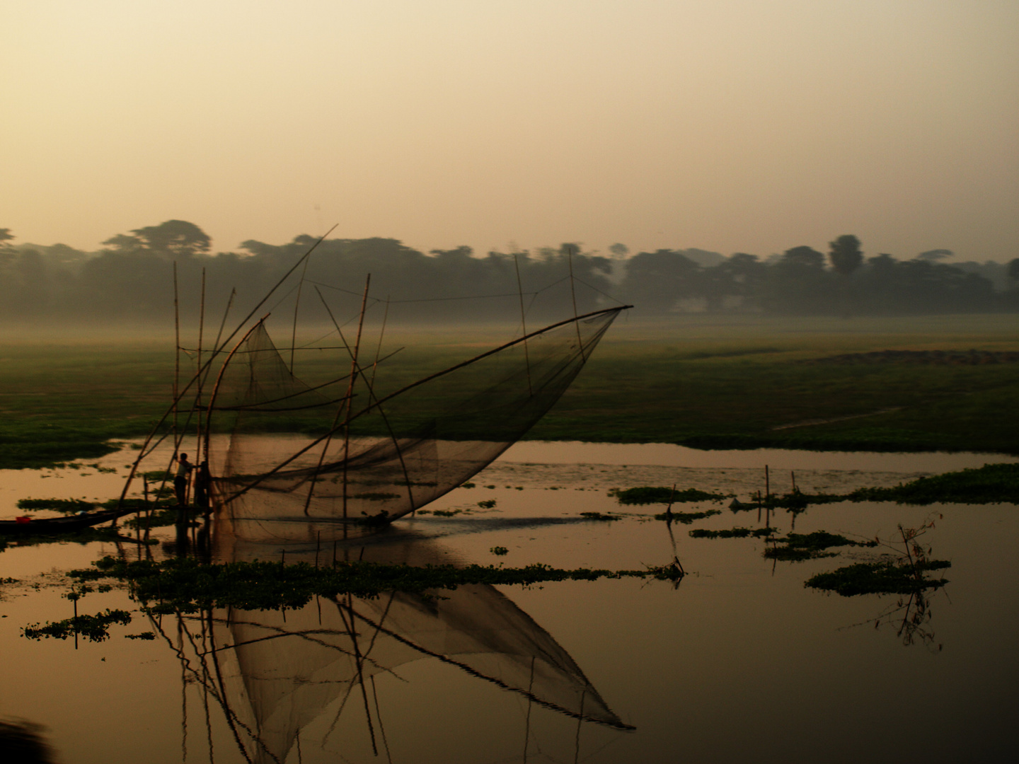 Fishing