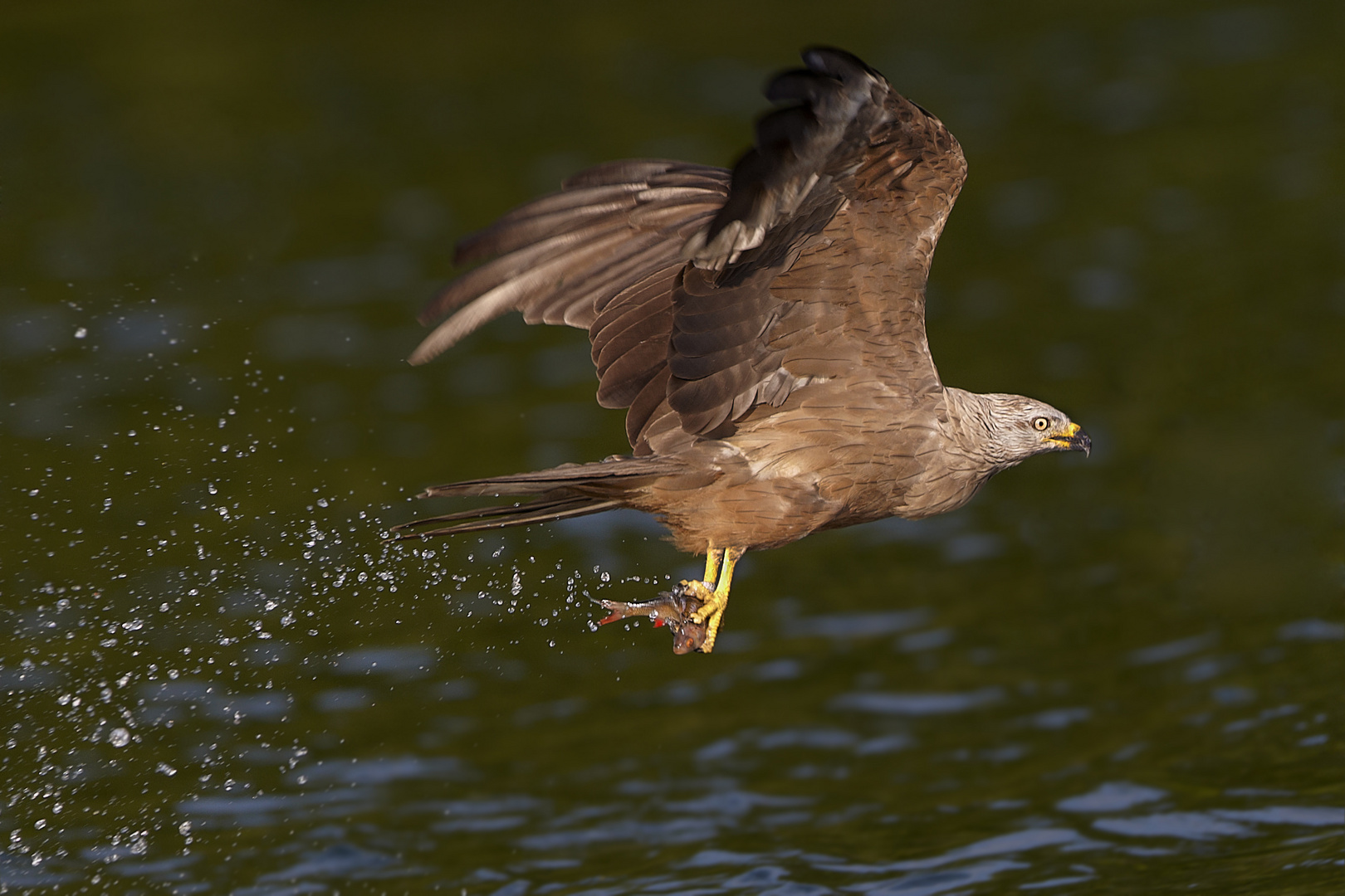 fishing