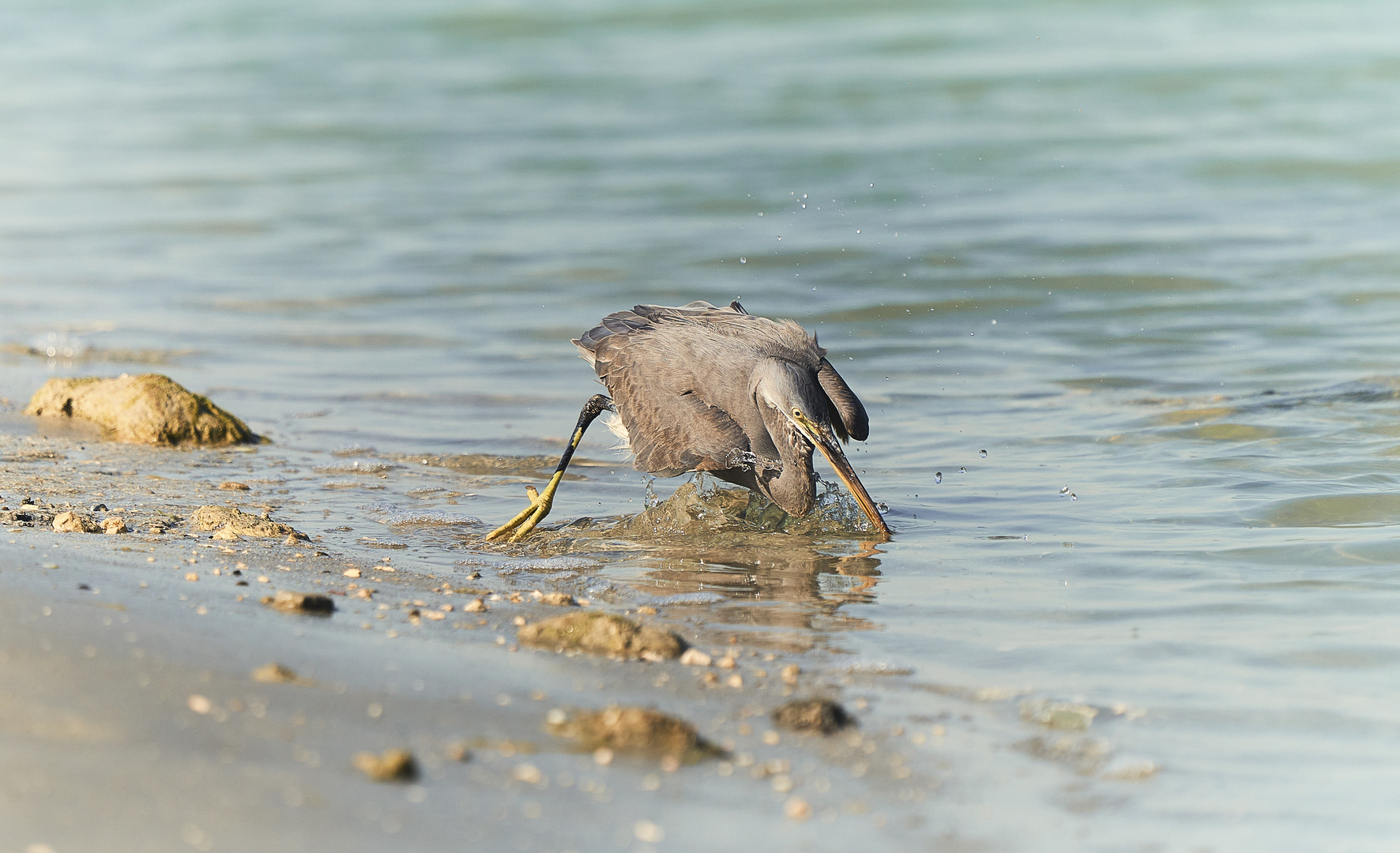 Fishing 