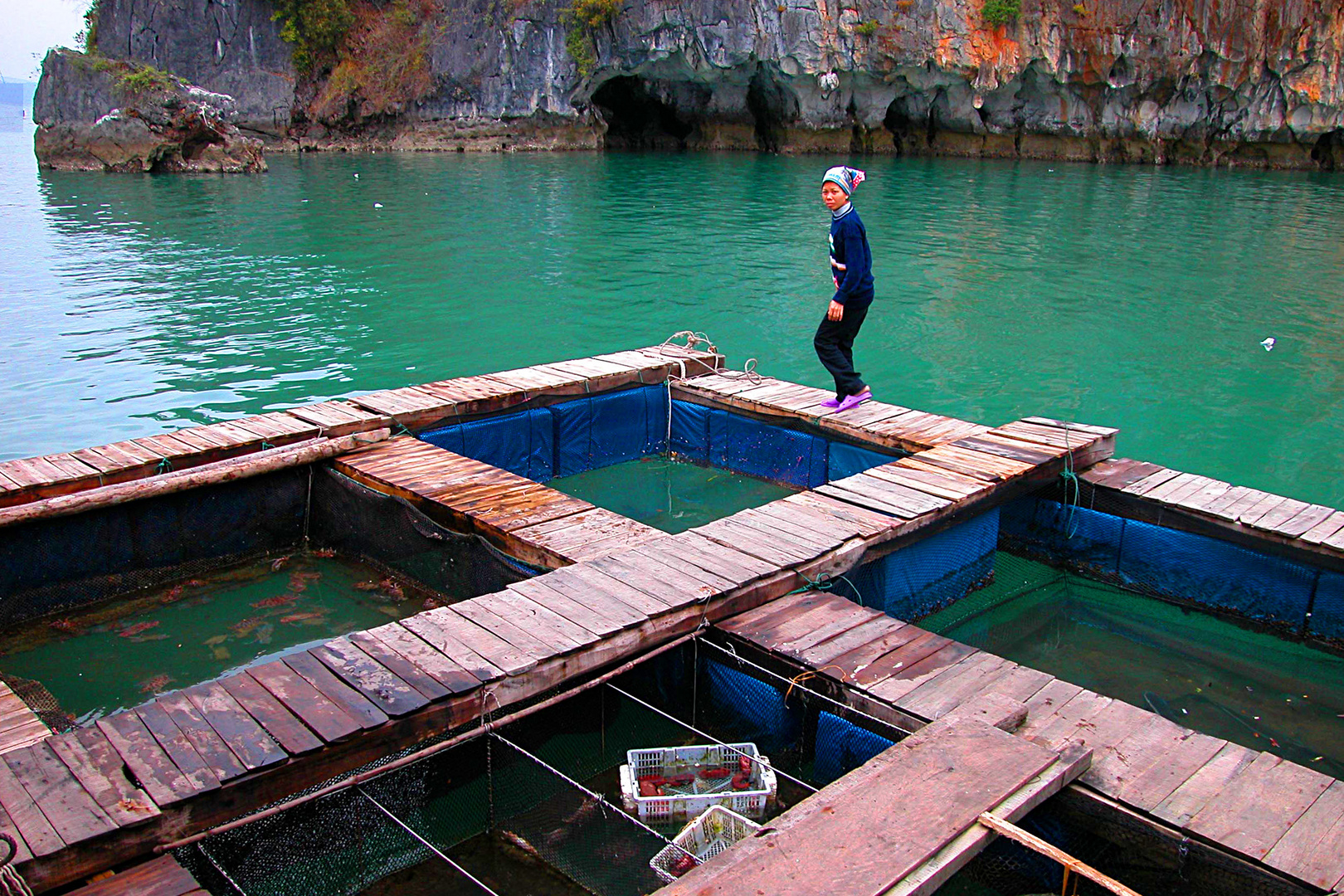 Fishing farm in Ha Long Bay