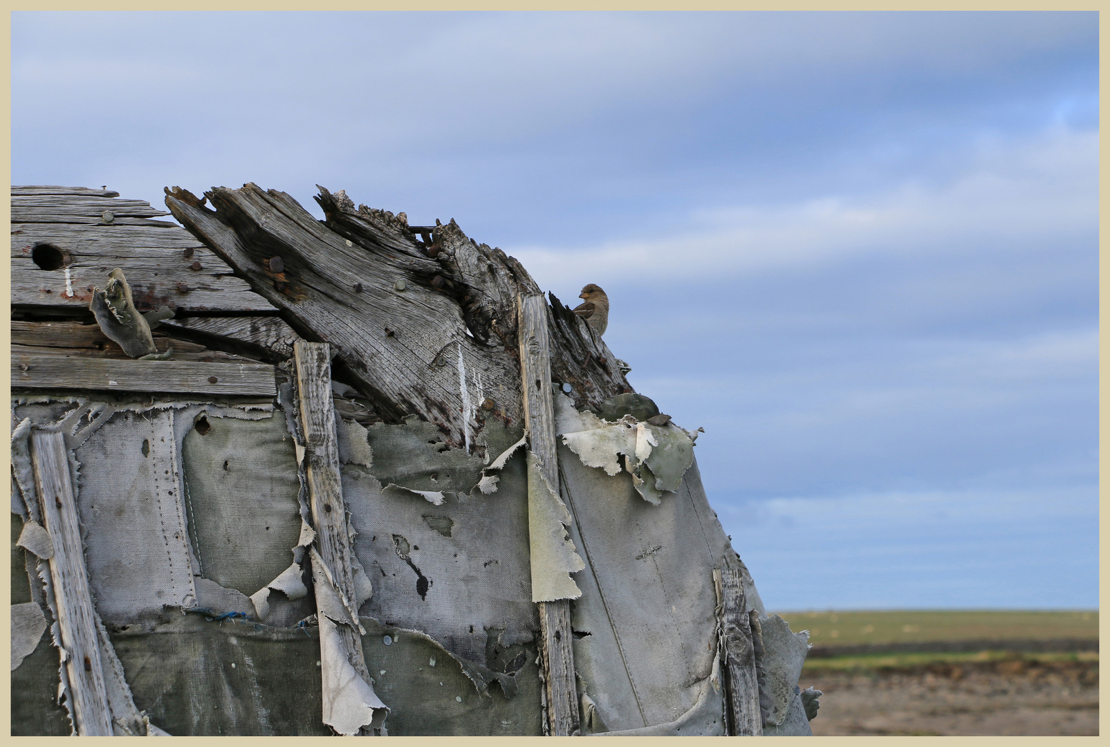 fishing hut holy island