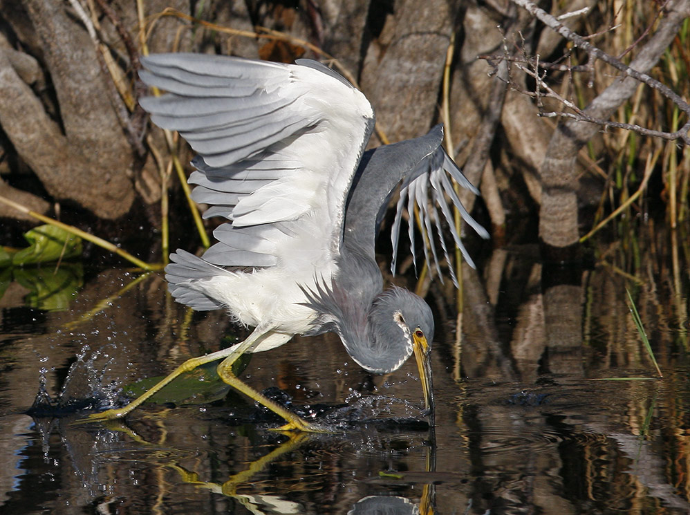 Fishing in action ...