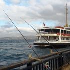 Fishing in Bosphorus