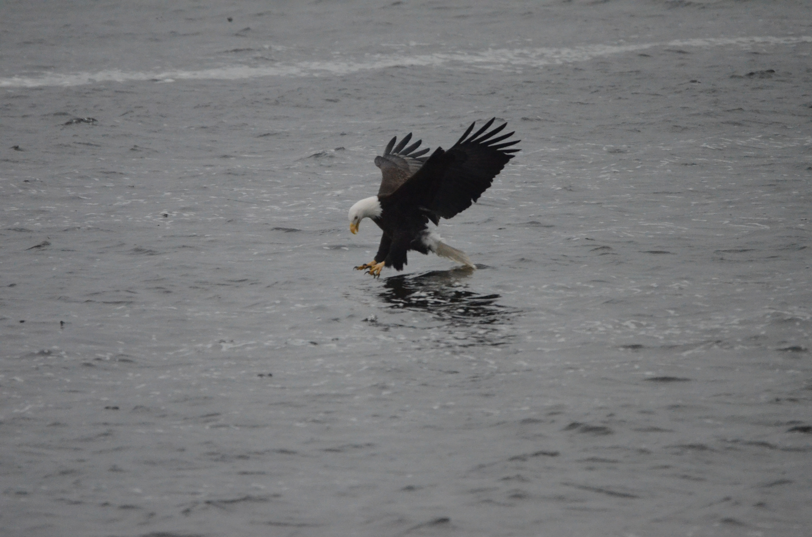 Fishing in Cold Waters