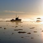 Fishing in Greenland II