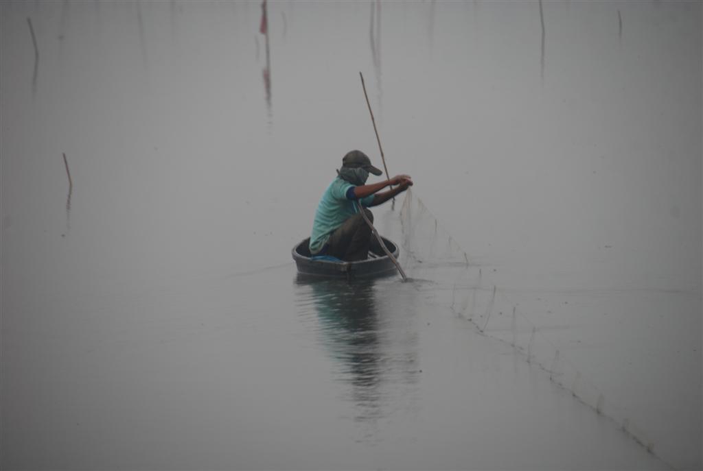 Fishing in morning mist