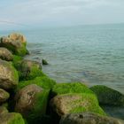 fishing in the beach of Caspion Sea