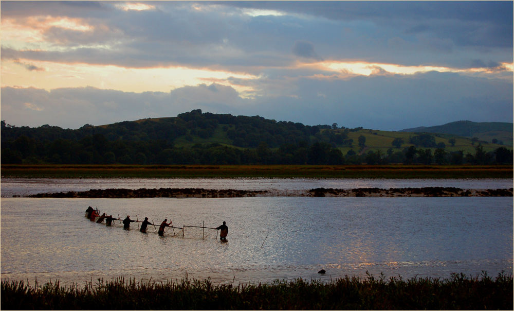 Fishing in the Early Morning II