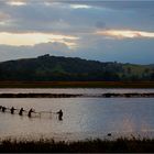 Fishing in the Early Morning II