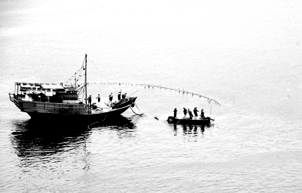 Fishing in the Harbour