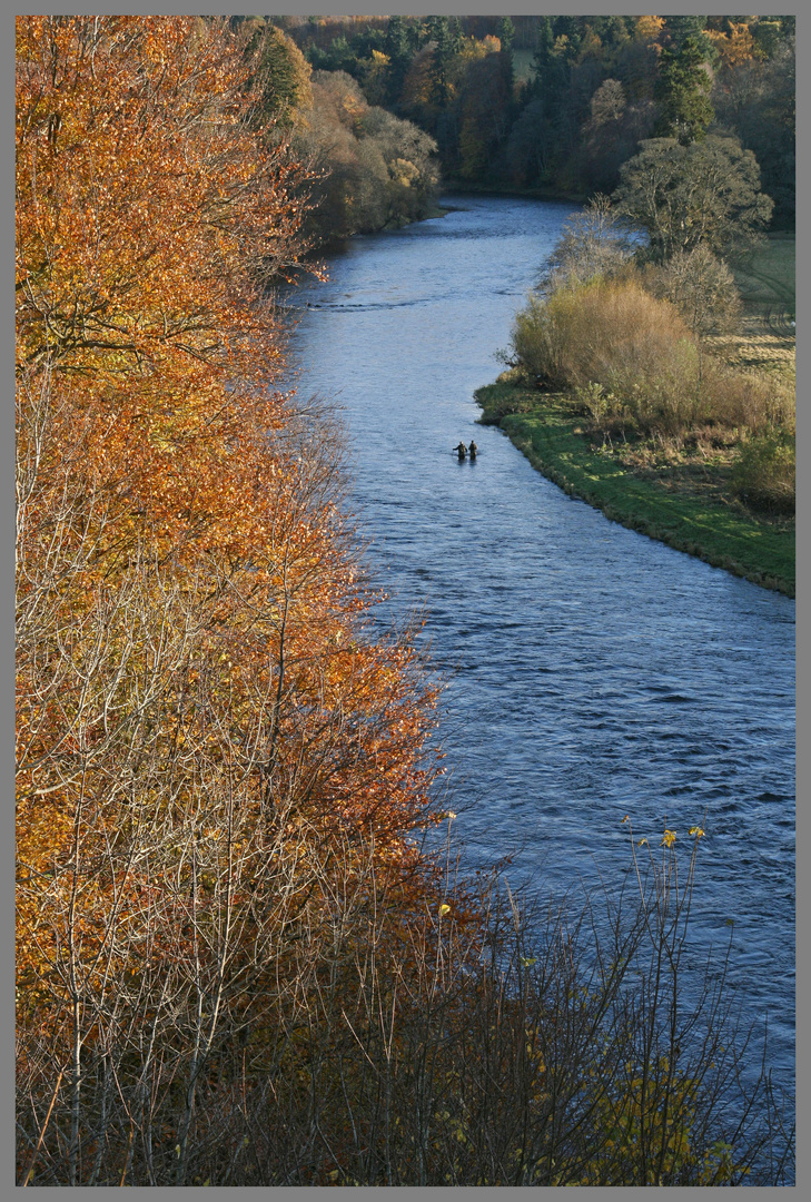 fishing in the River Tweed near leaderfoot