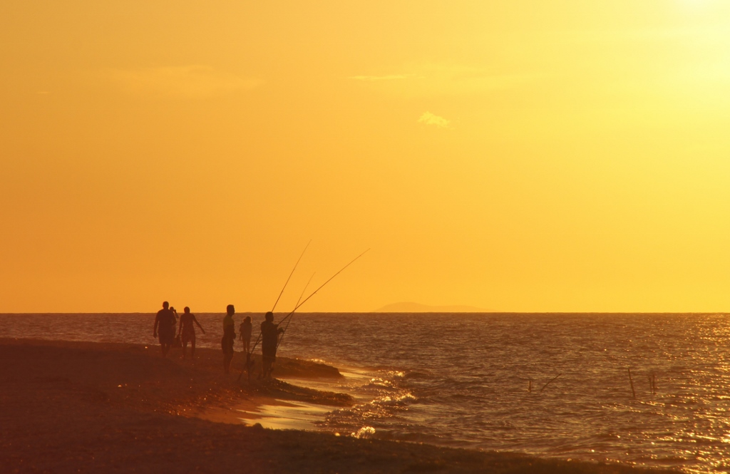 Fishing in the sun