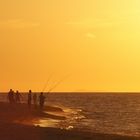 Fishing in the sun