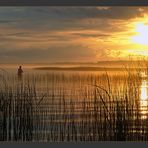 Fishing in the sunset