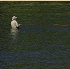 fishing in the tweed at Norham 2