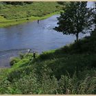 fishing in the tweed at Norham 5