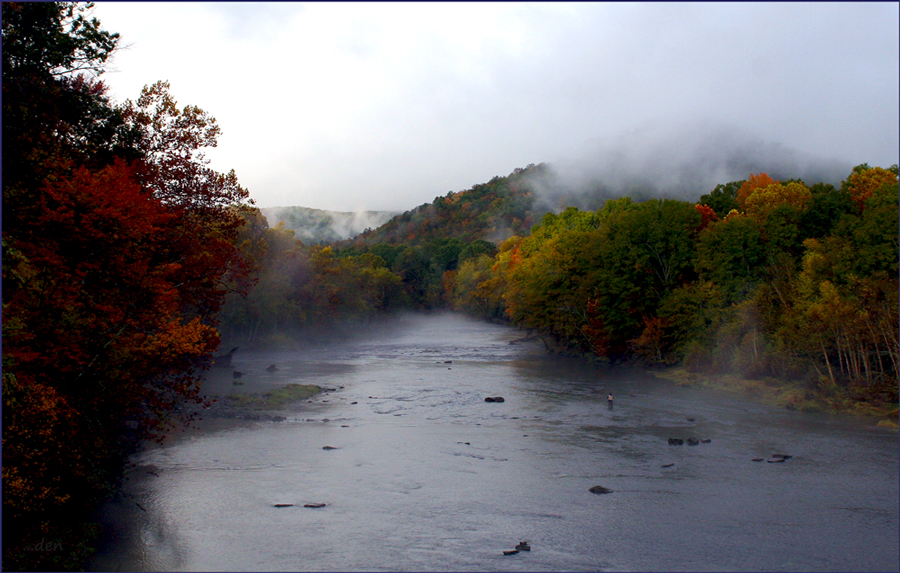 Fishing into the Mist......