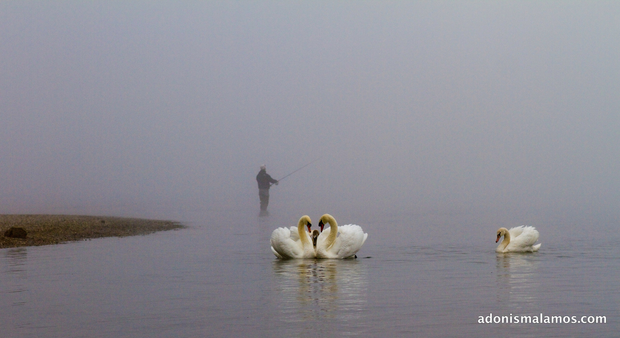 Fishing Love...