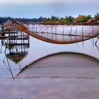 Fishing net at the Thu Bon River