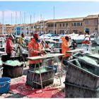 Fishing net cleaning