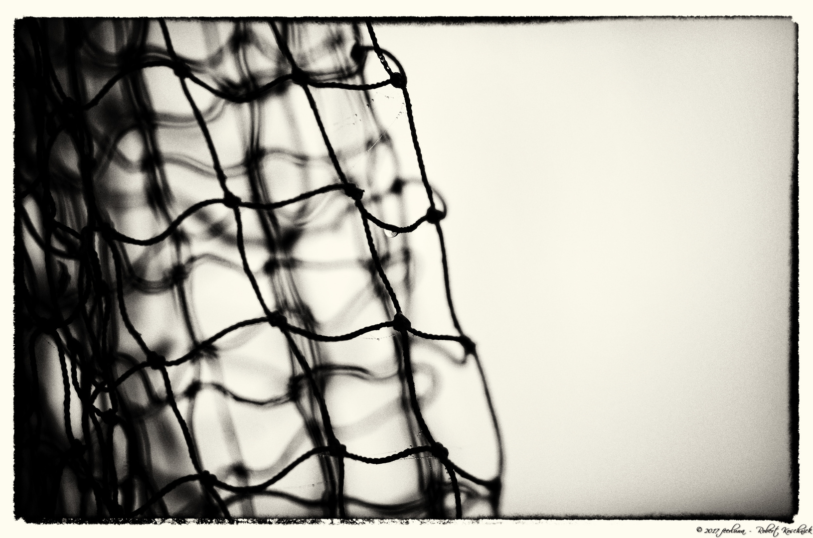 fishing net