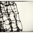 fishing net