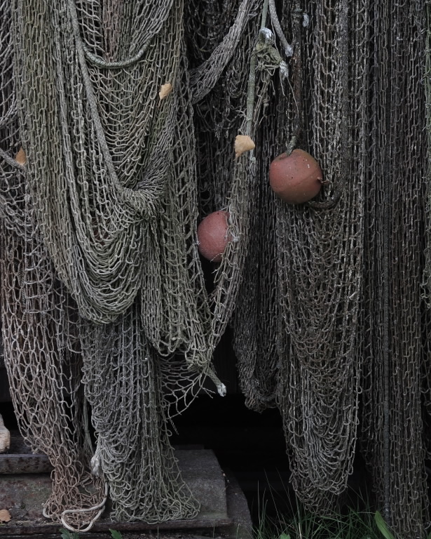 Fishing Net