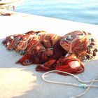 Fishing net in Cunda, AYVALIK