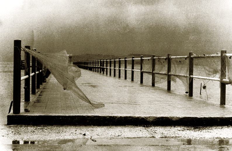 fishing nets in the wind