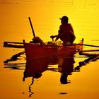 Fishing on a golden sea