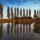 Fishing on the River Trent