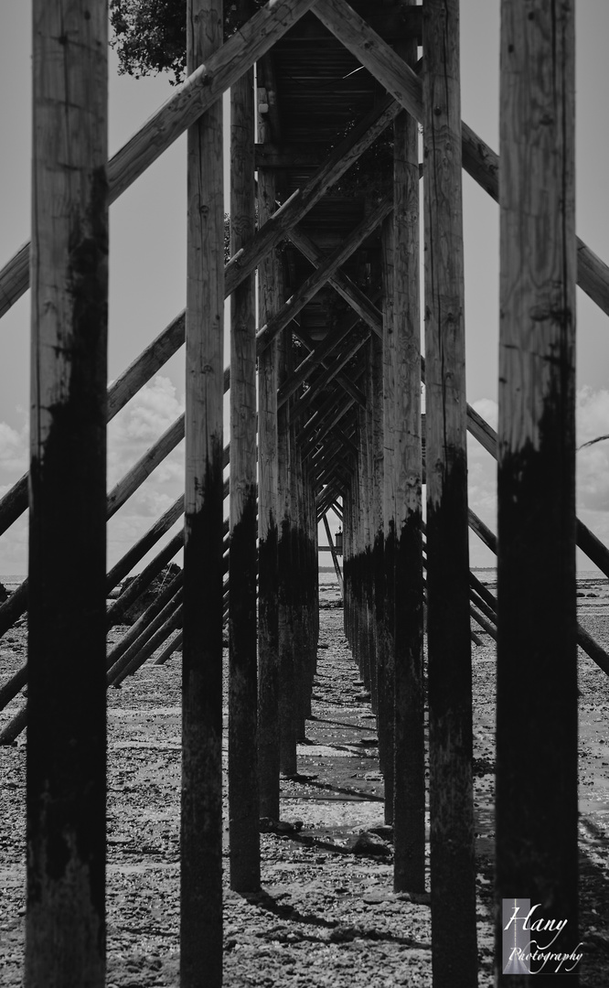 Fishing Pier