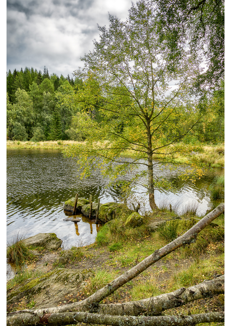 Fishing point at Mill Dam