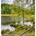 Fishing point at Mill Dam