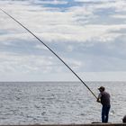 Fishing Rod XXL