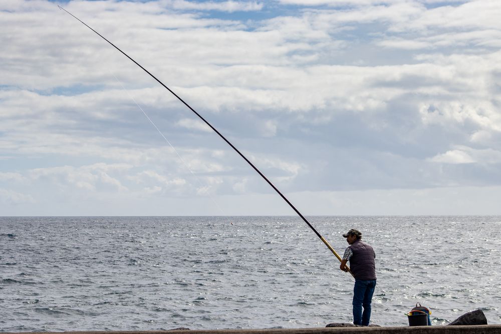 Fishing Rod XXL