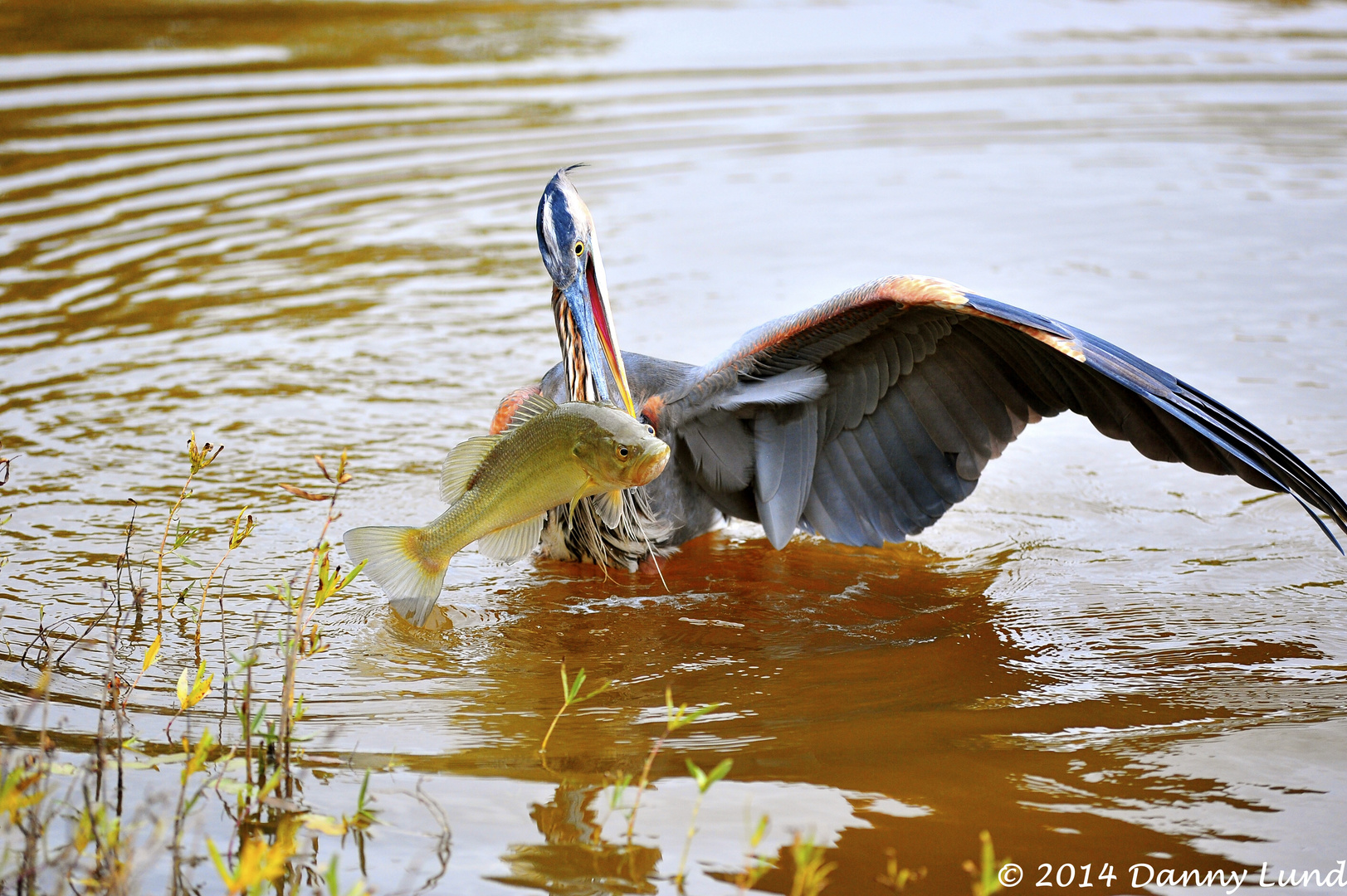 Fishing Texas Style