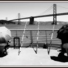 Fishing Umbrellas in front of the San Francisco Bay Bridge (2010)