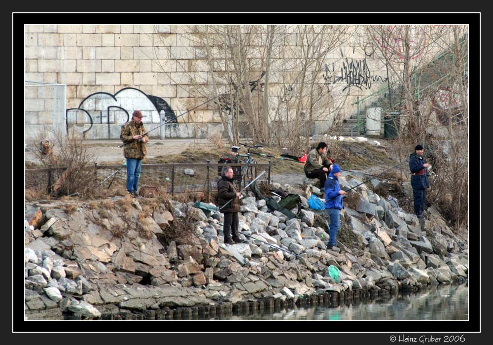 fishing - Wiener Donaukanal im Februar