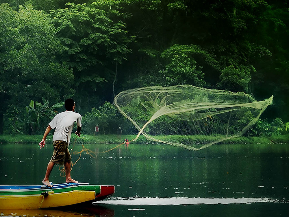 Fishing with Net