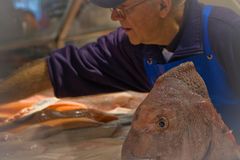 Fishmarket Sydney