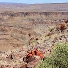 Fishriver-Canyon in Namibia