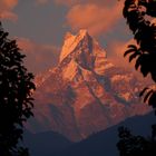 Fishtail - Nepal